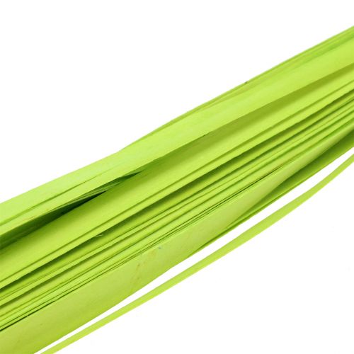 Floristik24 Tiras de madeira verde primavera 95cm - 100cm 50 un