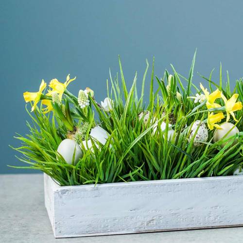 Floristik24 Bandeja de madeira Shabby Chic Branco Retangular 37,5 cm x 14,5 cm Alt 6,3 cm