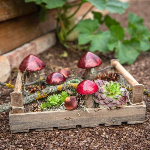 Floristik24 Bandeja de madeira natureza retangular, bege 39x27cm/48x32cm conjunto de 2