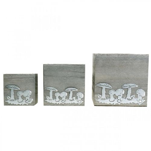 Itens Cubos de madeira com cogumelos, decoração de outono, caixa para plantas 20/16/12 cm, conjunto de 3