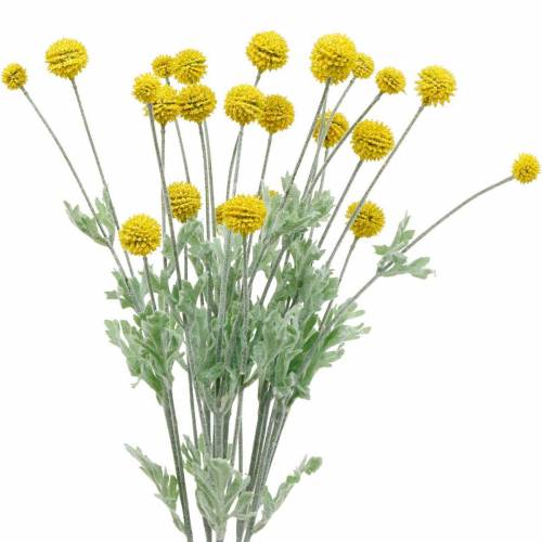 Itens Flores artificiais de seda Craspedia amarela baqueta