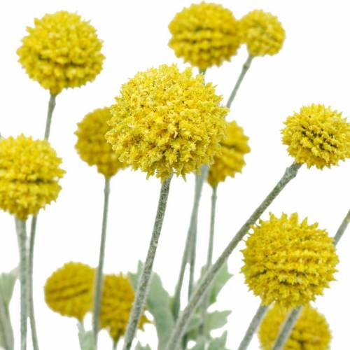 Floristik24 Flores artificiais de seda Craspedia amarela baqueta