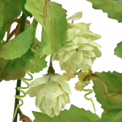 Floristik24 Guirlanda de folhas guirlanda de lúpulo verde artificial L180cm