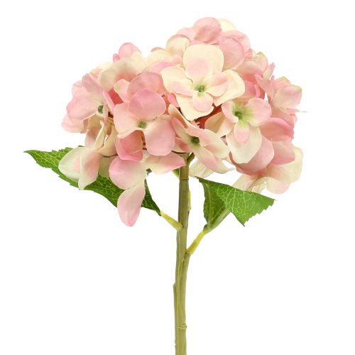 Floristik24 Hortênsia rosa, creme 36cm