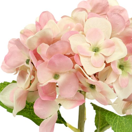 Floristik24 Hortênsia rosa, creme 36cm