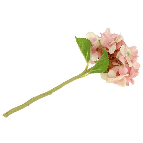Floristik24 Hortênsia rosa, creme 36cm