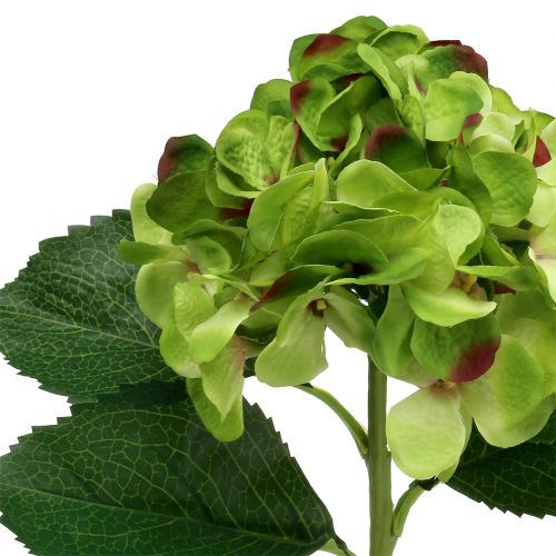 Floristik24 Hortênsia verde artificial para decoração C54cm