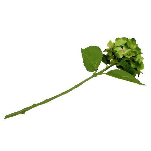 Floristik24 Hortênsia verde artificial para decoração C54cm