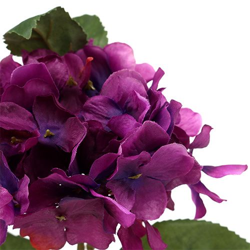 Floristik24 Hortênsia roxa 30cm 3pcs