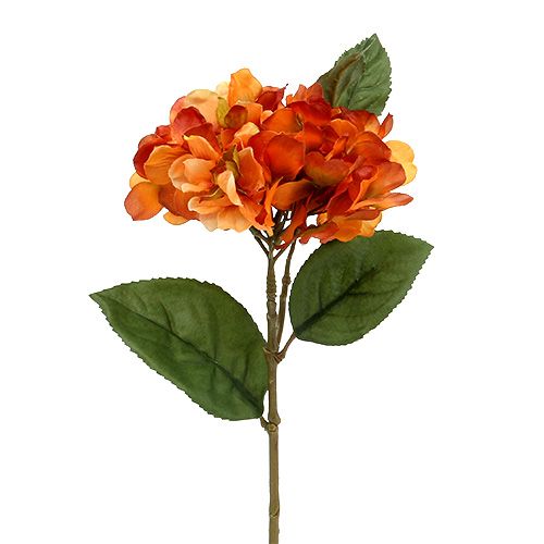 Floristik24 Laranja Hortênsia 30cm 3pcs