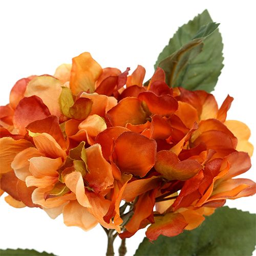 Floristik24 Laranja Hortênsia 30cm 3pcs