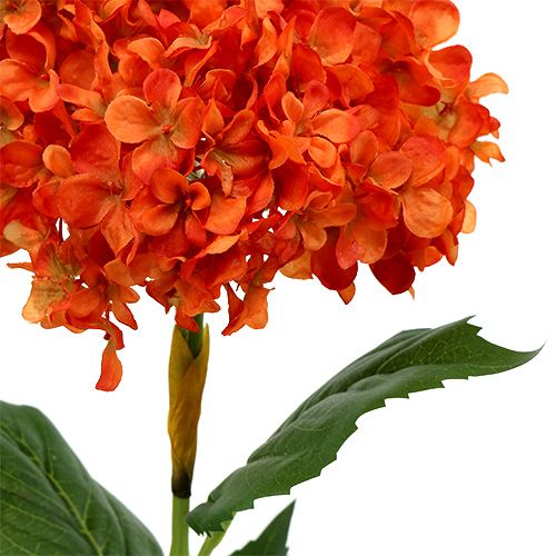 Floristik24 Hortênsia laranja 80cm 1p