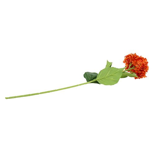 Floristik24 Hortênsia laranja 80cm 1p