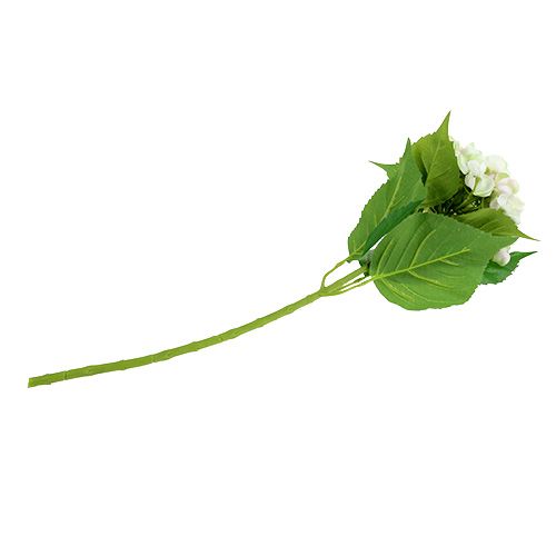 Hortênsia branco-verde 60cm | Floristik24.pt