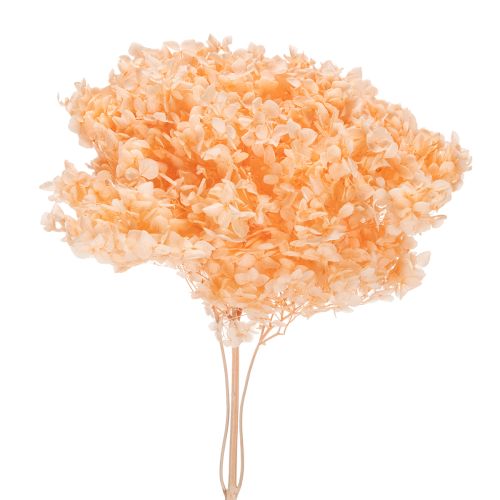 Buquê de hortênsias secas para decoração floral elegante em casa, 65 cm