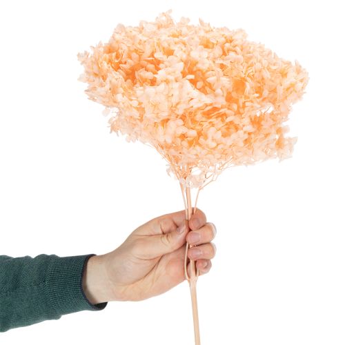 Itens Buquê de hortênsias secas para decoração floral elegante em casa, 65 cm