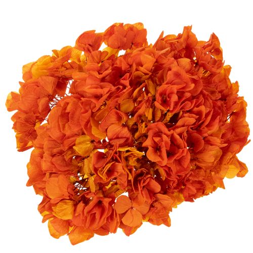 Hortênsia preservada e tingida, flor grande com caule longo, 60 cm | Floristik24.pt
