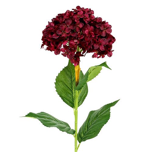 Floristik24 Hortênsia artificial vermelho escuro 80cm 1ud