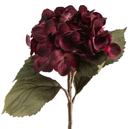 Floristik24 Flores artificiais de hortênsia Bordeaux 52cm