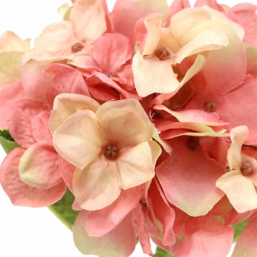Floristik24 Hortênsia bege/rosa 35cm
