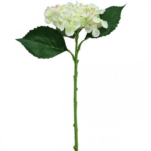 Floristik24 Hortênsia, flor de seda, flor artificial para decoração de mesa branco, verde L44cm