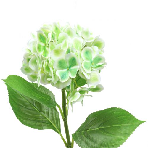 Floristik24 Hortênsia verde artificial, branco 68cm