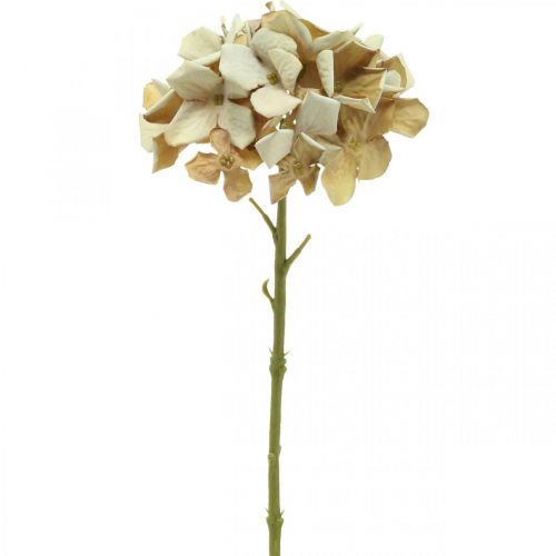 Itens Flor artificial de hortênsia marrom, flor de seda branca decoração de outono H32cm