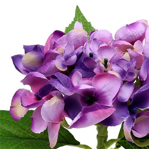 Floristik24 Hortênsia roxa 33cm 1p