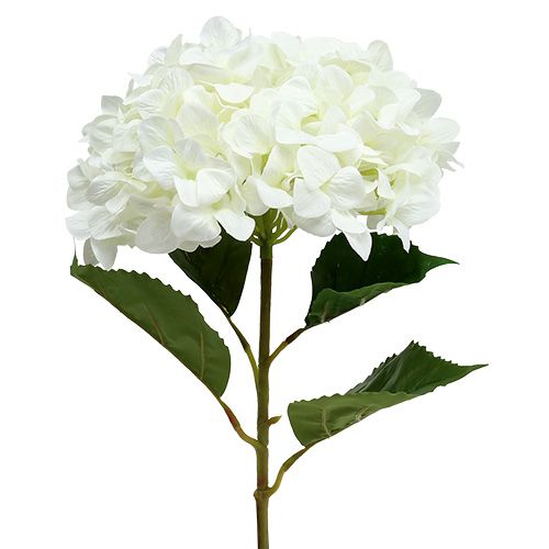 Floristik24 Hortênsia Maxi Branco Ø30cm L113cm