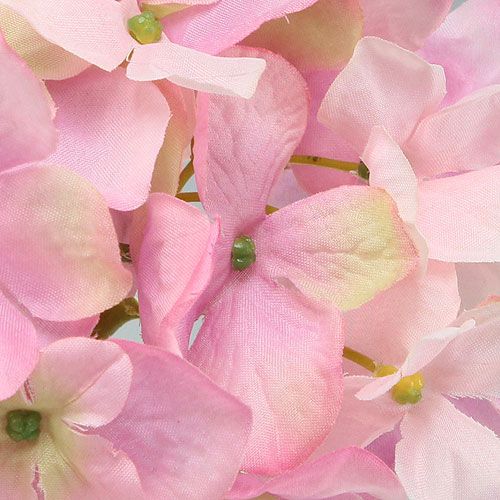 Floristik24 Hortênsia rosa 68 cm