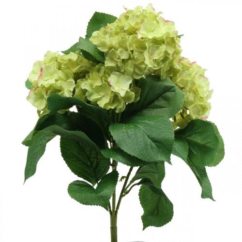 Floristik24 Buquê de flores artificiais verde hortênsia 5 flores 42cm