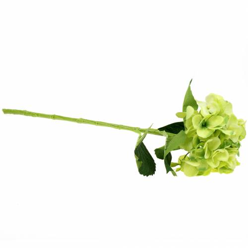 Floristik24 Hortênsia verde 54cm