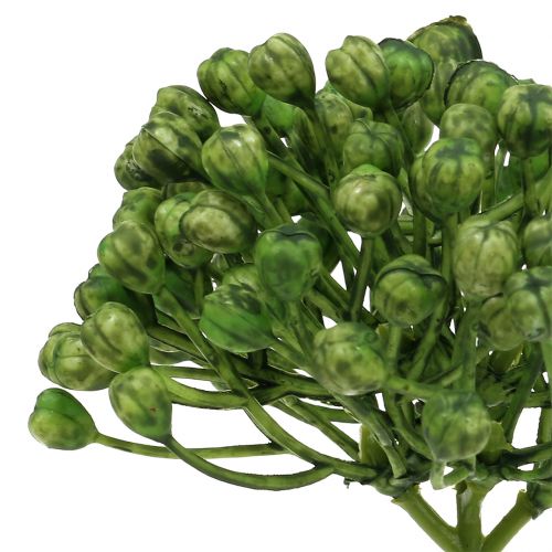 Itens Colheita de botões de hortênsia 22 cm verde 12 unidades
