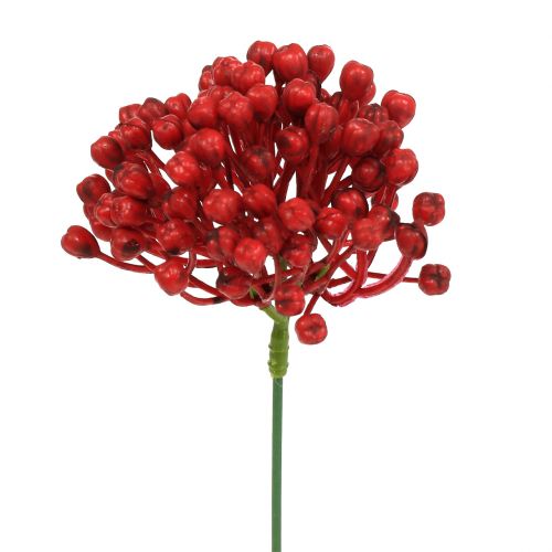 Itens Botão de hortênsia escolher 22 cm vermelho 12 unidades