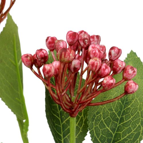 Floristik24 Ramo de hortênsia em botão de 55 cm rosa 6 unidades
