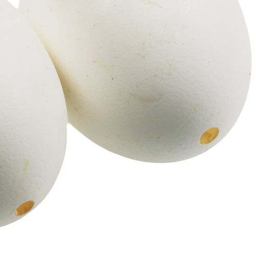 Floristik24 Ovos de galinha brancos 10 unidades