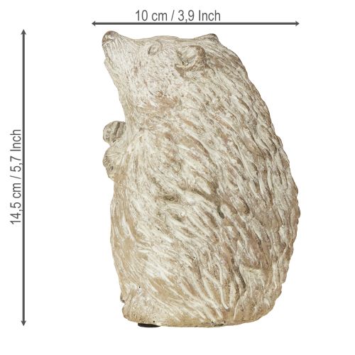 Floristik24 Figura de decoração de outono ouriço em pedra fundida, lavada a branco, altura 14,5 cm