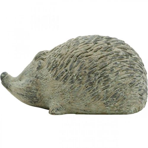 Floristik24 Figura decorativa ouriço 22cm decoração de jardim outono antigo verde 20 × 12 × Alt.10cm