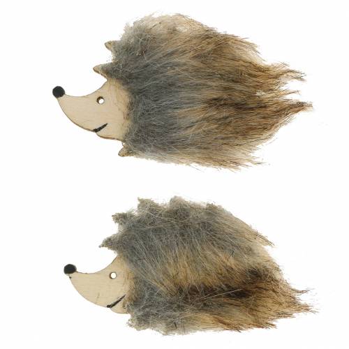 Floristik24 Ouriço decoração de outono com pelo 7cm 24 unidades