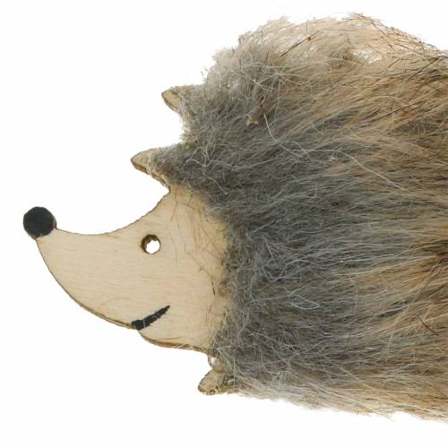 Floristik24 Ouriço decoração de outono com pelo 7cm 24 unidades
