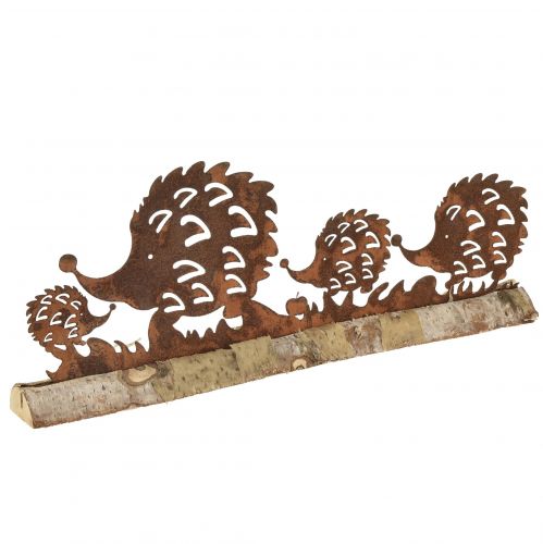 Floristik24 Ouriço família ferrugem decoração outono pátina 38x4,5x13,5cm