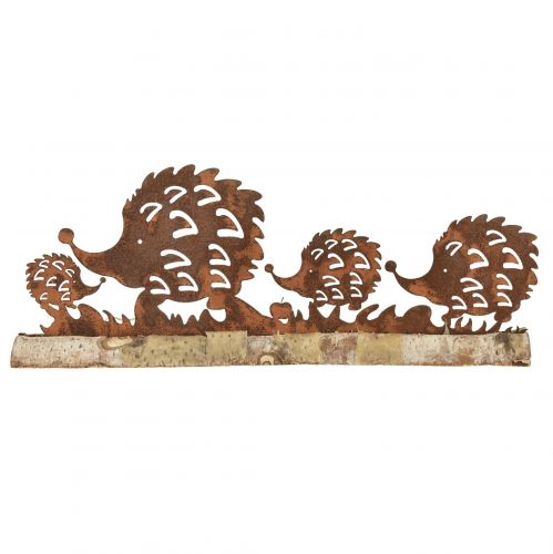 Floristik24 Ouriço família ferrugem decoração outono pátina 38x4,5x13,5cm