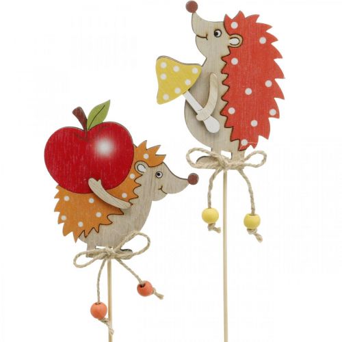 Floristik24 Ouriço de vara de flores, decoração de madeira, figura de outono H9.5cm L32cm 12pcs