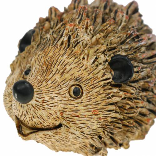 Floristik24 Figura decorativa ouriço natureza 6,5 cm