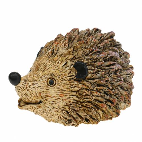 Floristik24 Figura decorativa ouriço natureza 6,5 cm