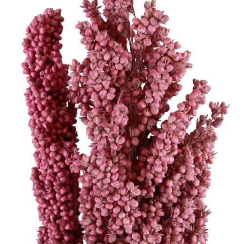 Itens Flores secas de milho indiano Milho indiano rosa 75 cm 3 unidades