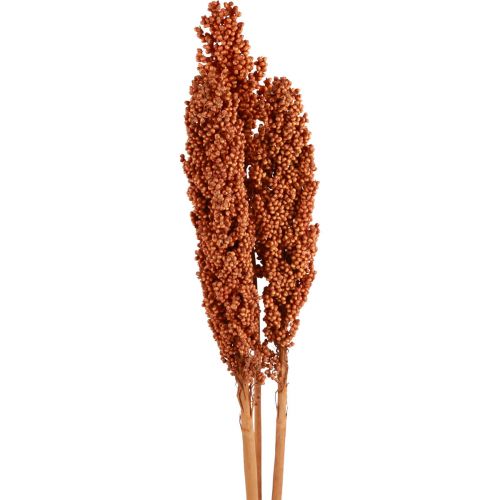 Floristik24 Milho Indiano Flores Secas Milho Indiano Laranja 72cm 3 un