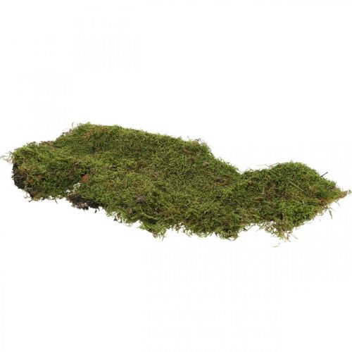 Floristik24 Musgo indiano floresta verde musgo natural 2kg