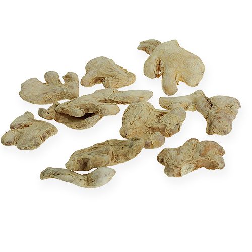Itens Decoração de gengibre seco decoração natural 500g