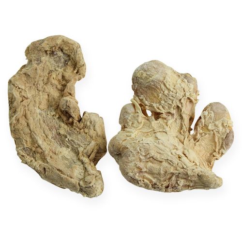 Itens Decoração de gengibre seco decoração natural 500g